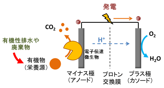 什么是微生物燃料電池？